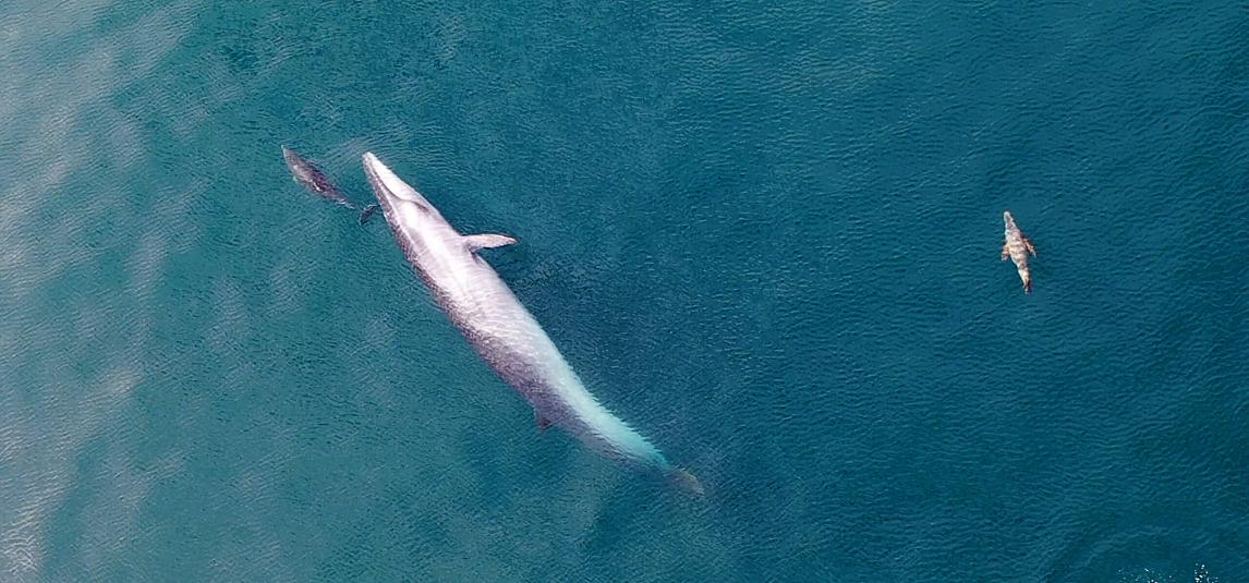 What to do in Comodoro Rivadavia?