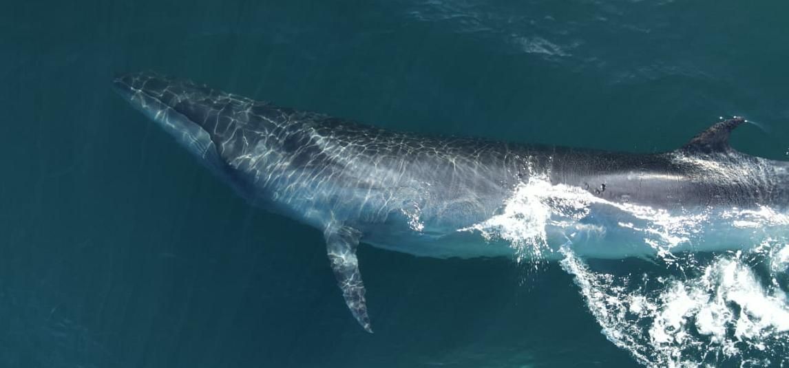 What to do in Comodoro Rivadavia?